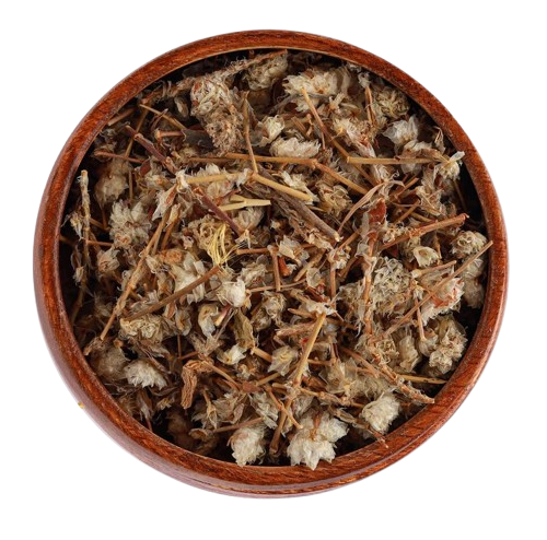 طرخشقون ( اسنان الاسد)