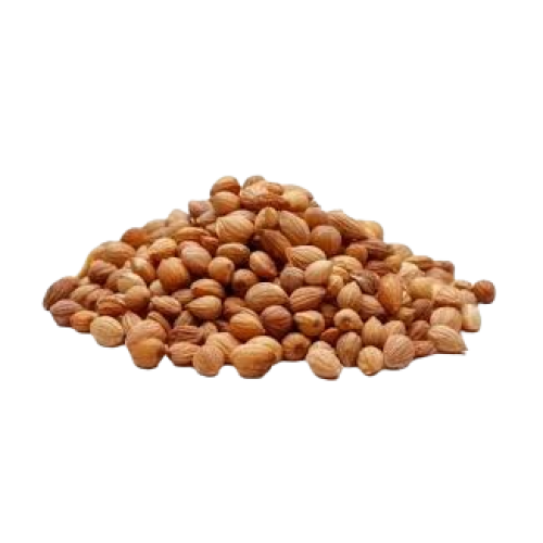 محلب
