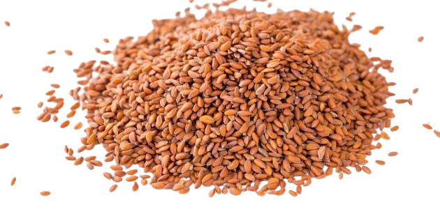 بذر رشاد